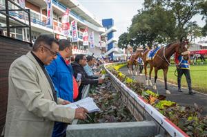 Greyville Tips - Best Bets through the card on Durban July day