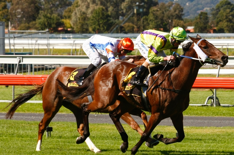 Morphettville Tips for 25.06.2022