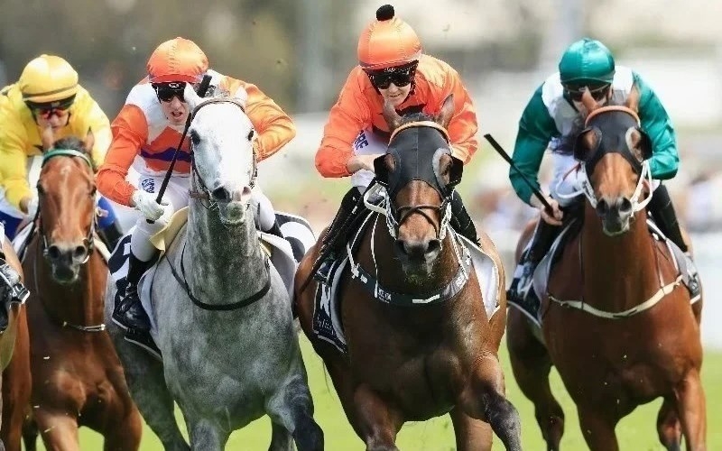 Tamworth Racing Tips for 23.01.2020