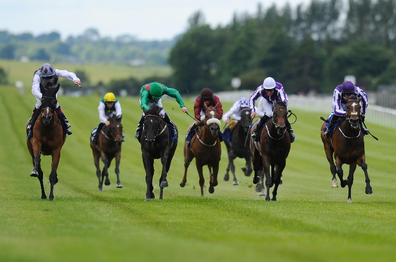 pretty polly stakes curragh