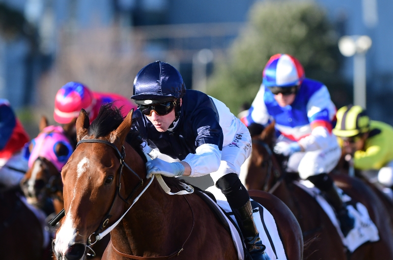 Big Bets Results from 25.06.2022
