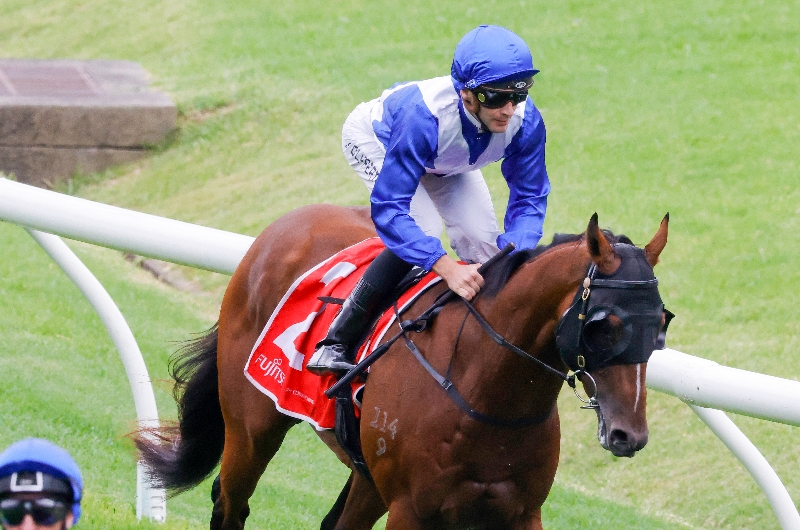 Golden Rose Betting Odds
