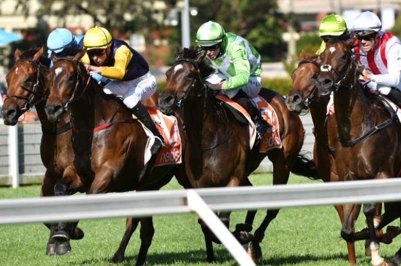 Belmont Tips for 16.02.2022