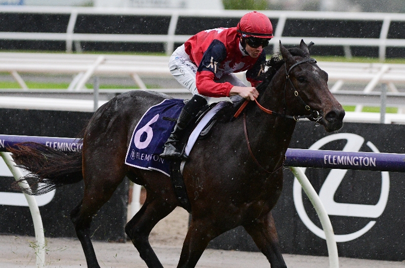 Coolmore Stud Stakes Odds