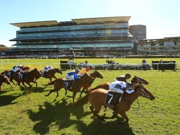 randwick kensington racing tips for 18.03.2020