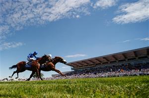 coral eclipse sandown
