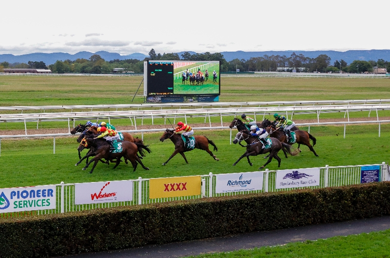 Hawkesbury Tips for 30.06.2022