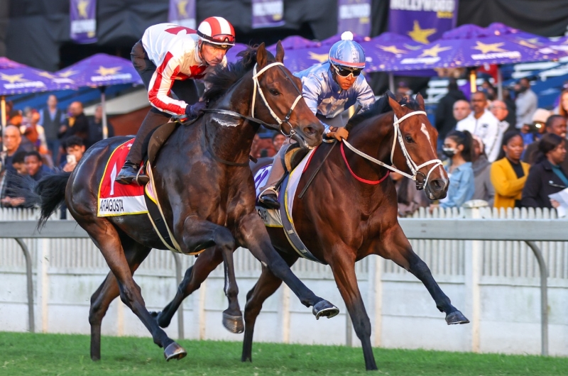 Durban July