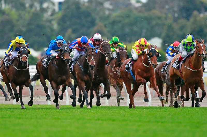 Flemington Tips for 02.07.2022