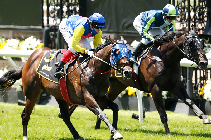Murray Bridge Tips for 02.07.2022
