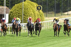 dragon stakes sandown