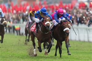 2023 Durban July Result - Winchester Mansion edges out See It Again in thriller at Greyville