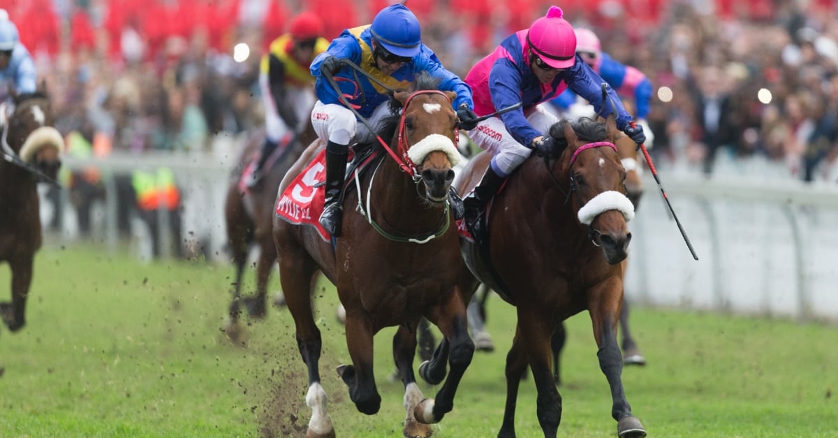 2023 Durban July Result 400pm Greyville result 1.7.23