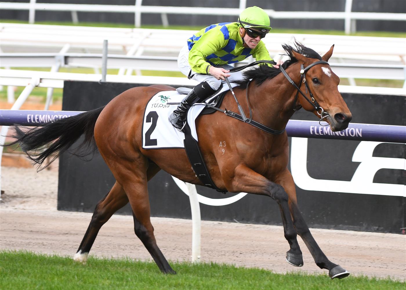 Flemington Highlights July 2, 2022