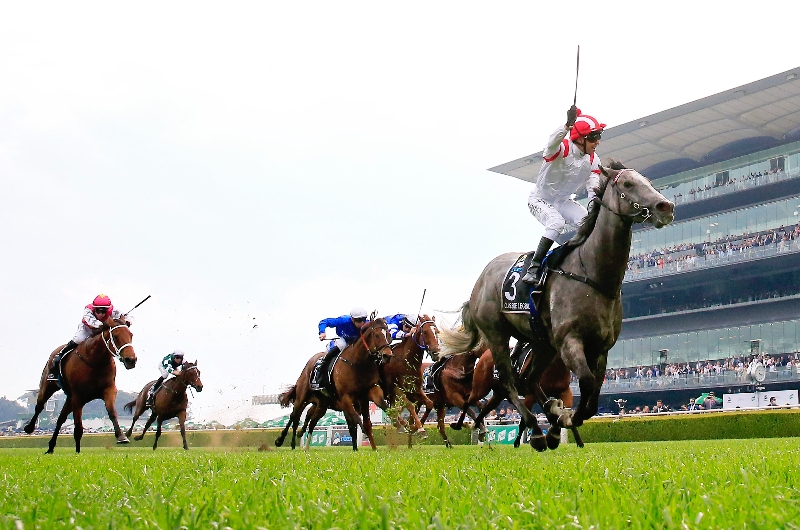 The Everest Tips