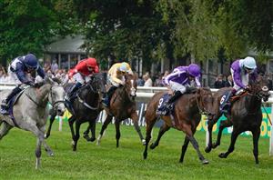 Falmouth Stakes Live Stream - Watch this Newmarket race online