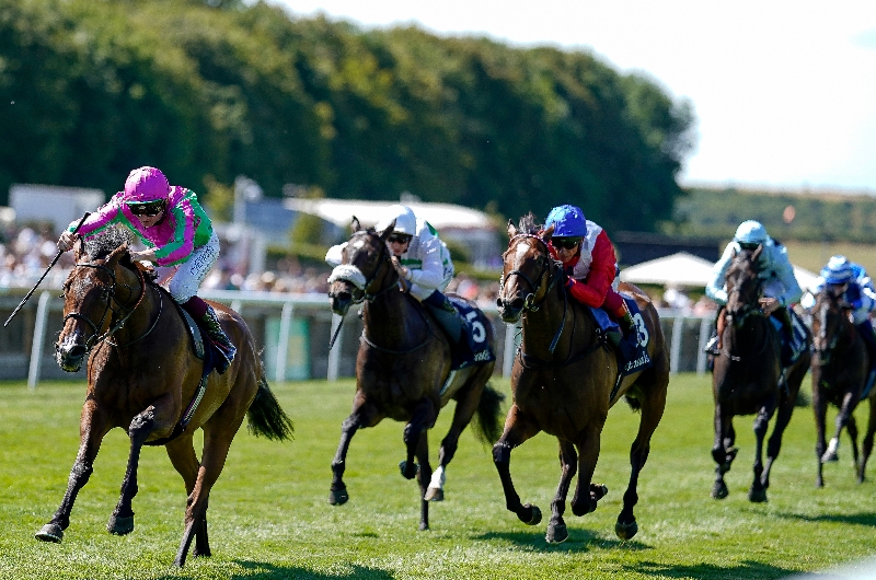 When is the 2023 Falmouth Stakes?