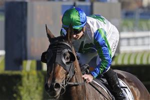 SYDNEY, AUSTRALIA - JULY 09: Reece Jones on Waihaha Falls wins race 7 the Bowermans Handicap during Sydney Racing at Royal Randwick Racecourse on July 09, 2022 in Sydney, Australia. (Photo by Mark Evans/Getty Images)