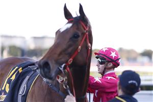 SYDNEY, AUSTRALIA - JULY 09: Jason Collett on Lady Brook returns to scale after winning race 9 the Schweppes Handicap during Sydney Racing at Royal Randwick Racecourse on July 09, 2022 in Sydney, Australia. (Photo by Mark Evans/Getty Images)