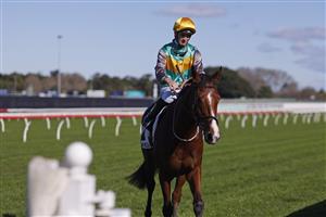 SYDNEY, AUSTRALIA - JULY 09: Sam Clipperton on La Chevalee returns to scale after winning race 4 the Chandon Handicap during Sydney Racing at Royal Randwick Racecourse on July 09, 2022 in Sydney, Australia. (Photo by Mark Evans/Getty Images)