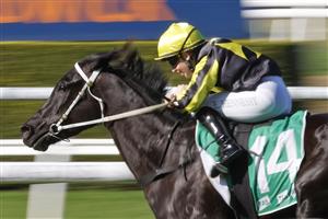 SYDNEY, AUSTRALIA - JULY 09: Ellen Hennessy on I've Bean Tryin' winning race 2, the TAB Highway Handicap during Sydney Racing at Royal Randwick Racecourse on July 09, 2022 in Sydney, Australia. (Photo by Mark Evans/Getty Images)