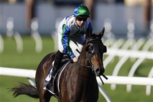 SYDNEY, AUSTRALIA - JULY 09: Reece Jones on Waihaha Falls returns to scale after winning race 7 the Bowermans Handicap during Sydney Racing at Royal Randwick Racecourse on July 09, 2022 in Sydney, Australia. (Photo by Mark Evans/Getty Images)