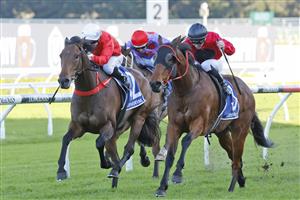 SYDNEY, AUSTRALIA - JULY 09: Glyn Schofield on Taksu (R), wins race 8 the Furphy Winter Stakes during Sydney Racing at Royal Randwick Racecourse on July 09, 2022 in Sydney, Australia. (Photo by Mark Evans/Getty Images)