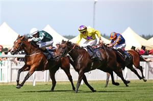 Irish oaks 2022 betting trends best investment in cryptocurrency mining in 2018