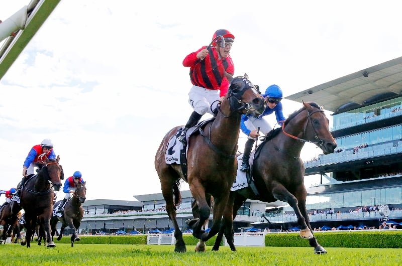 Epsom Handicap Odds