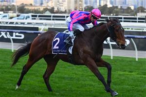 MELBOURNE, AUSTRALIA - JULY 16: Daniel Stackhouse riding Nicolini Vito winning Race 9, the L.v Lachal Handicap, during Melbourne Racing at Flemington Racecourse on July 16, 2022 in Melbourne, Australia. (Photo by Vince Caligiuri/Getty Images)