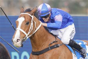 SYDNEY, AUSTRALIA - JULY 16: Jay Ford on Bold Mac wins race 7 the Victor Ludorum Darley Handicap during Sydney Racing at Rosehill Gardens on July 16, 2022 in Sydney, Australia. (Photo by Jenny Evans/Getty Images)