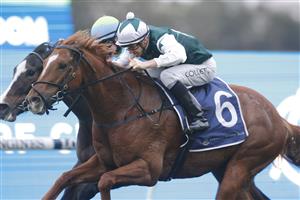 SYDNEY, AUSTRALIA - JULY 16: Jason Collett on The Big Easy wins race 10 the Fab Industrial Logistics Handicap during Sydney Racing at Rosehill Gardens on July 16, 2022 in Sydney, Australia. (Photo by Jenny Evans/Getty Images)