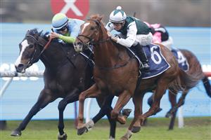 SYDNEY, AUSTRALIA - JULY 16: Jason Collett on The Big Easy wins race 10 the Fab Industrial Logistics Handicap during Sydney Racing at Rosehill Gardens on July 16, 2022 in Sydney, Australia. (Photo by Jenny Evans/Getty Images)