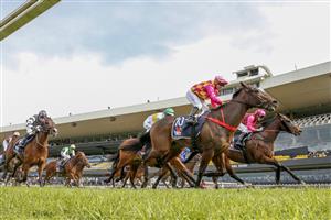 SYDNEY, AUSTRALIA - JULY 16: Kathy O'Hara riding Noble Soldier to win Race 4 during Sydney Racing at Rosehill Gardens on July 16, 2022 in Sydney, Australia. (Photo by Jenny Evans/Getty Images)