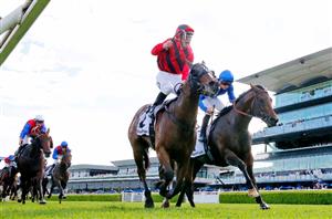 2022 Epsom Handicap Betting Odds - A competitive market is set