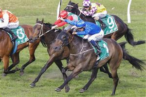 SYDNEY, AUSTRALIA - JULY 16: Hugh Bowman on Alcyone wins race 6 the Vinery Stallions Handicap during Sydney Racing at Rosehill Gardens on July 16, 2022 in Sydney, Australia. (Photo by Jenny Evans/Getty Images)