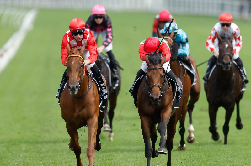 Flight Stakes Betting Odds