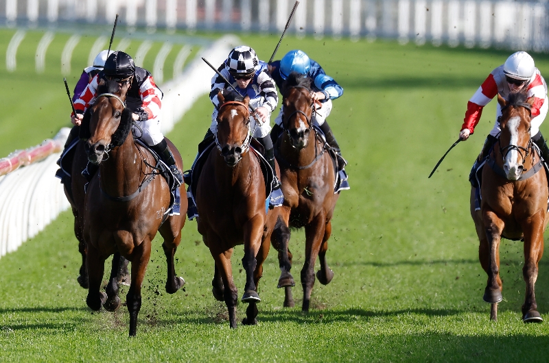 Randwick Tips for 23.07.2022