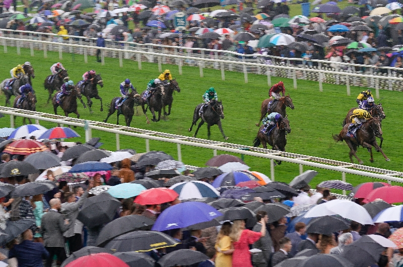 ebor york