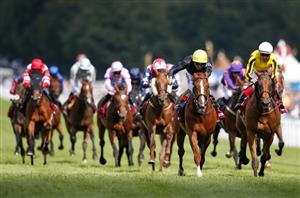 stradivarius goodwood