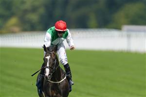 ASCOT, ENGLAND - JULY 23: PJ McDonald celebrates as he rides Pyledriver to win The King George VI And Queen Elizabeth Qipco Stakes at Ascot Racecourse on July 23, 2022 in Ascot, England. (Photo by Alan Crowhurst/Getty Images)