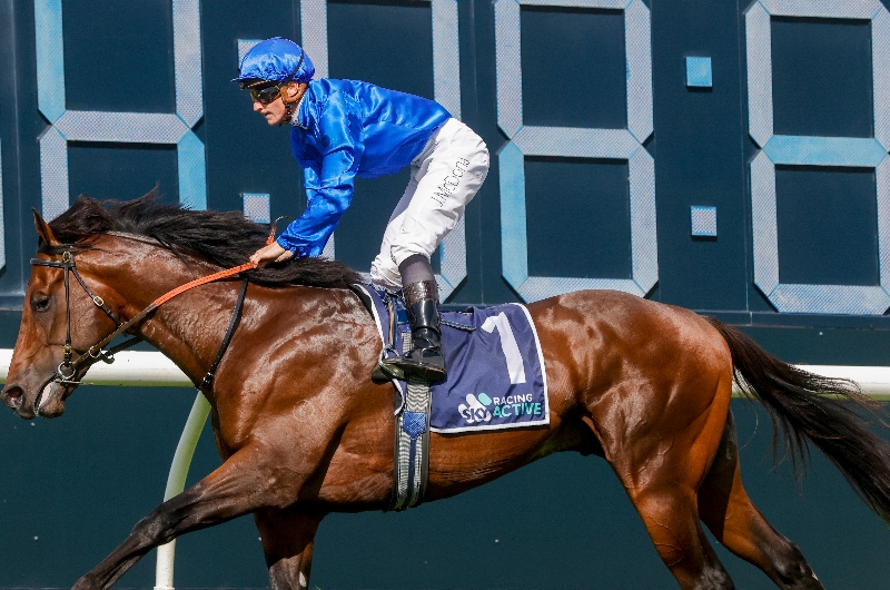 Winx Stakes Betting Odds