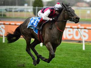 MELBOURNE, AUSTRALIA - JULY 23: Craig Williams riding Throntari winning Race 7, the Stow Storage Solutions Handicap during Melbourne Racing at Caulfield Racecourse on July 23, 2022 in Melbourne, Australia. (Photo by Vince Caligiuri/Getty Images)