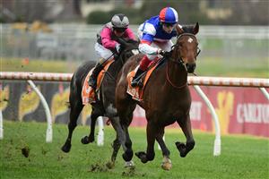 MELBOURNE, AUSTRALIA - JULY 23: Craig Williams riding Sing for Peace winning Race 4, the Mrc Chairmans Club Handicap, during Melbourne Racing at Caulfield Racecourse on July 23, 2022 in Melbourne, Australia. (Photo by Vince Caligiuri/Getty Images)