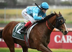 MELBOURNE, AUSTRALIA - JULY 23: Craig Williams riding Teewaters winning Race 5, the Tobin Brothers Vobis Gold Stayers, during Melbourne Racing at Caulfield Racecourse on July 23, 2022 in Melbourne, Australia. (Photo by Vince Caligiuri/Getty Images)