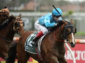 MELBOURNE, AUSTRALIA - JULY 23: Craig Williams riding Teewaters winning Race 5, the Tobin Brothers Vobis Gold Stayers, during Melbourne Racing at Caulfield Racecourse on July 23, 2022 in Melbourne, Australia. (Photo by Vince Caligiuri/Getty Images)