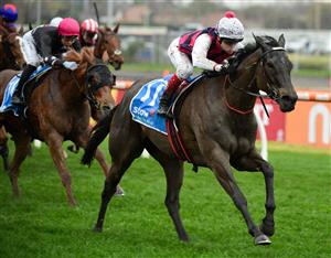 MELBOURNE, AUSTRALIA - JULY 23: Craig Williams riding Throntari winning Race 7, the Stow Storage Solutions Handicap during Melbourne Racing at Caulfield Racecourse on July 23, 2022 in Melbourne, Australia. (Photo by Vince Caligiuri/Getty Images)