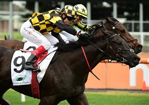 MELBOURNE, AUSTRALIA - JULY 23: Craig Williams riding Passione winnning Race 3, the Royal Meeting Is All Class, during Melbourne Racing at Caulfield Racecourse on July 23, 2022 in Melbourne, Australia. (Photo by Vince Caligiuri/Getty Images)