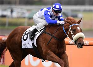 MELBOURNE, AUSTRALIA - JULY 23: Jamie Kah riding Boogie Dancer winning Race 2, the Lamaros Hotel Vobis Gold Ingot, during Melbourne Racing at Caulfield Racecourse on July 23, 2022 in Melbourne, Australia. (Photo by Vince Caligiuri/Getty Images)