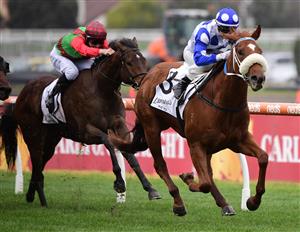 MELBOURNE, AUSTRALIA - JULY 23: Jamie Kah riding Boogie Dancer winning Race 2, the Lamaros Hotel Vobis Gold Ingot, during Melbourne Racing at Caulfield Racecourse on July 23, 2022 in Melbourne, Australia. (Photo by Vince Caligiuri/Getty Images)